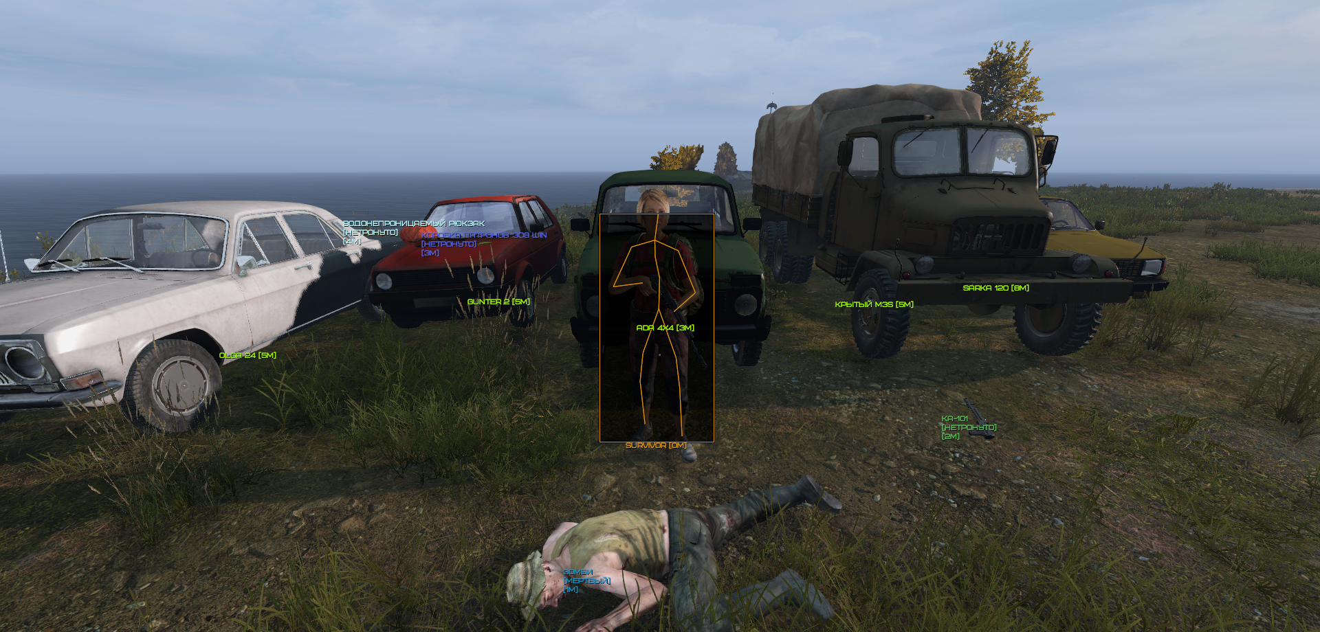 dayzdr2