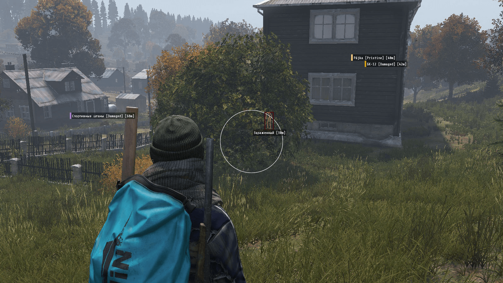 satano-dayz-s4
